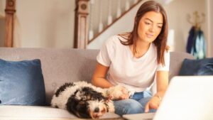 Woman researching the Colorado health insurance mandate on her laptop while sitting on a couch with her dog.